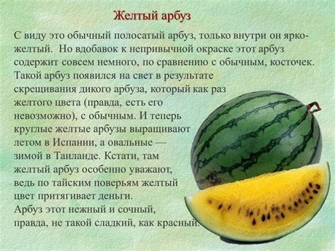 Арбузная редька: описание сорта, посадка и уход, польза и вред ...