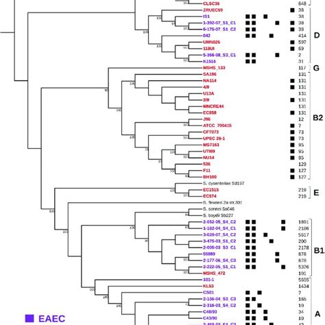 Whole Genome Based Phylogeny And Genetic Characteristics Of UPEC 46 And