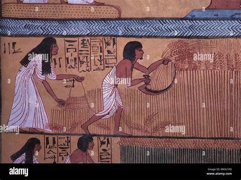 Ancient Egyptian Farming Stock Photos & Ancient Egyptian Farming Stock ...