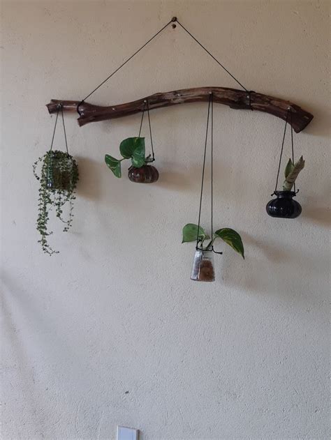 Decoracao Com Tronco De árvore E Plantas Decoração Hortas Verticais