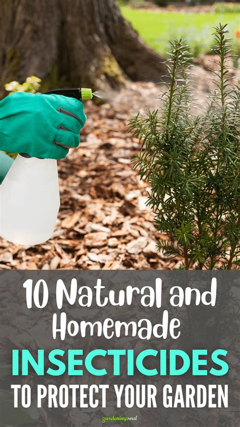 10 Natural And Homemade Insecticides To Protect Your Garden