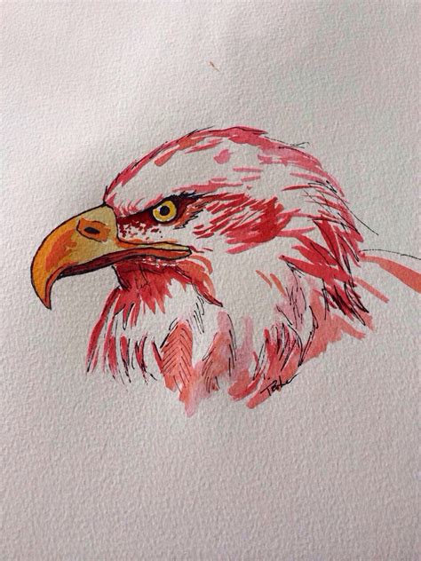 A Quick Eagle Watercolour Art Matters