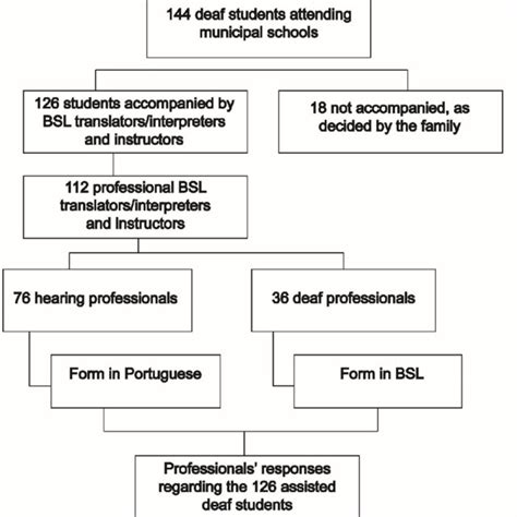 Distribution of 144 students accompanied by 112 professional Brazilian... | Download Scientific ...