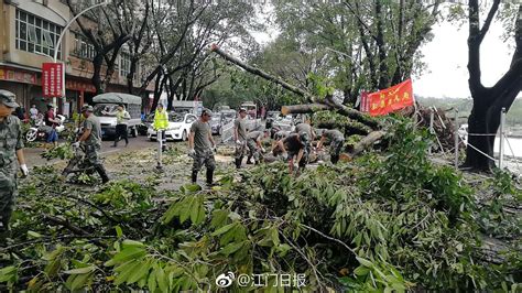 台风过后的江门，到处一片狼藉。目前江门台风山竹新浪新闻