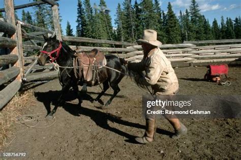 Ranch Foreman Photos And Premium High Res Pictures Getty Images