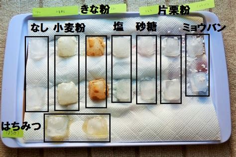 氷の溶け方調べ｜自由研究の実験方法・動機・結果・考察などまとめ方 自由研究テーマとまとめ方