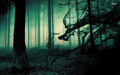 Creepy Forest Wallpapers Top Free Creepy Forest Backgrounds