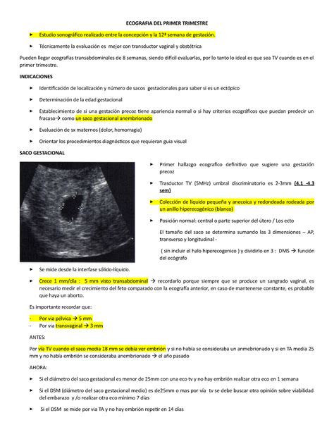 Ecografia Completa Autoguardado Ecografia Del Primer Trimestre