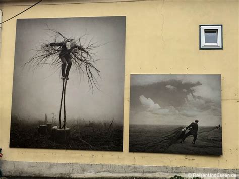 Festival La Gacilly In Baden Bei Wien Eine Stadt Als Foto Ausstellung