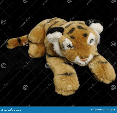 Tiger Soft Plush Toy Stock Photo Image Of Carnivore 12489742