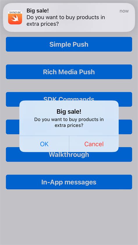 Campaigns Simple Push Mobile SDK Synerise Hub