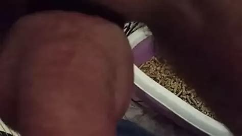 Trzepanie Gay Webcam Amateur Porn Video Xhamster