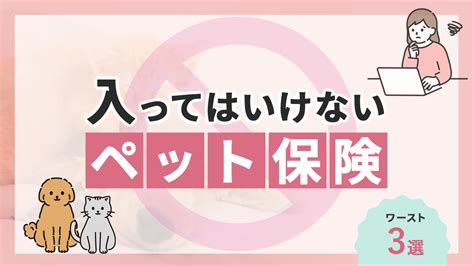 入ってはいけないペット保険とは？ワースト5や最悪な選び方も解説！