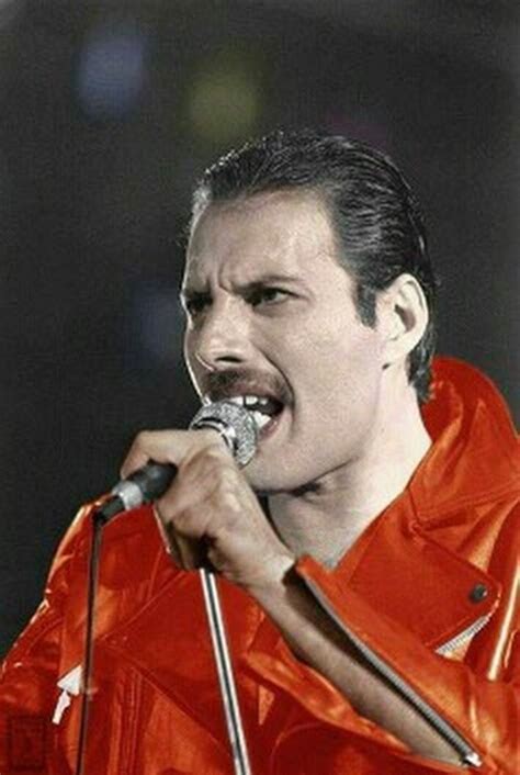 Freddie Mercury Funny Photo