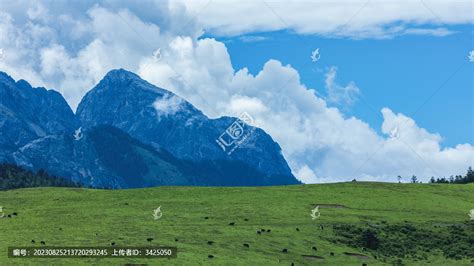 丽江玉龙雪山牦牛坪风光高山丘壑自然风景摄影素材汇图网