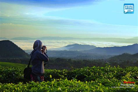 Dimana Saja Tempat Keren Dan Instagramable Di Subang Kotasubang