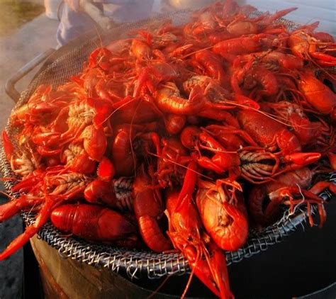 А у нас продаются саванские раки. Спеши! 095 393 58 25, 063 509 22 62 ...
