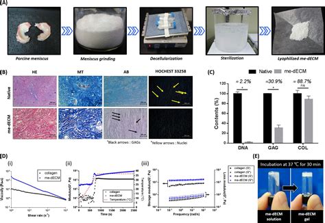 纳米人 Biomaterials使用半月板衍生的生物墨水对生物相容性和功能性半月板结构进行3d细胞打印