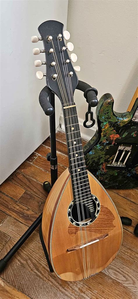 Ibanez bowlback mandolin from the 70's acoustic folk instrument