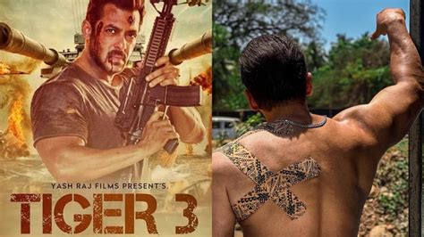 Tiger Zakhmi Hai Salman Khan Shares Update On Tiger 3 After Getting