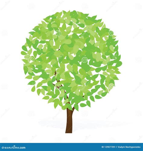 Arbre Vert Illustration De Vecteur Illustration Du Soin