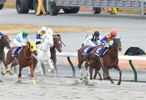 なぜ“白毛のヒロイン”ソダシのダートへの“二刀流挑戦”は失敗したのか2番人気に支持されたチャンピオンcで12着と惨敗（yahooニュース