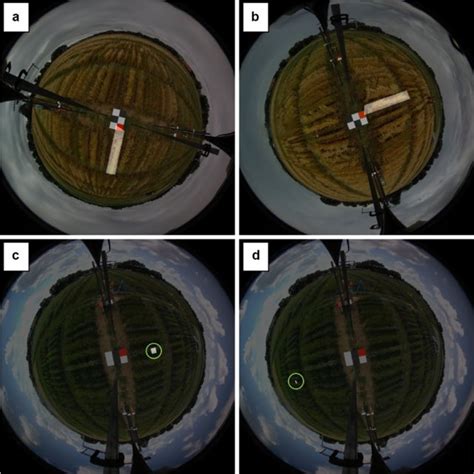 Appearance under the microscope of Fusarium redolens, a. Macroconidia ...