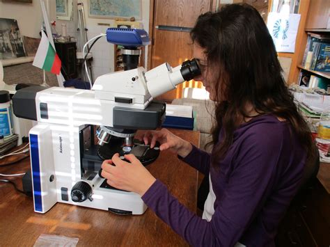 A new microscope ZEISS Axioscope is part of the equipment of the ... 