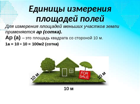 Сотка земли: перевод в квадратные метры, в гектары и наоборот