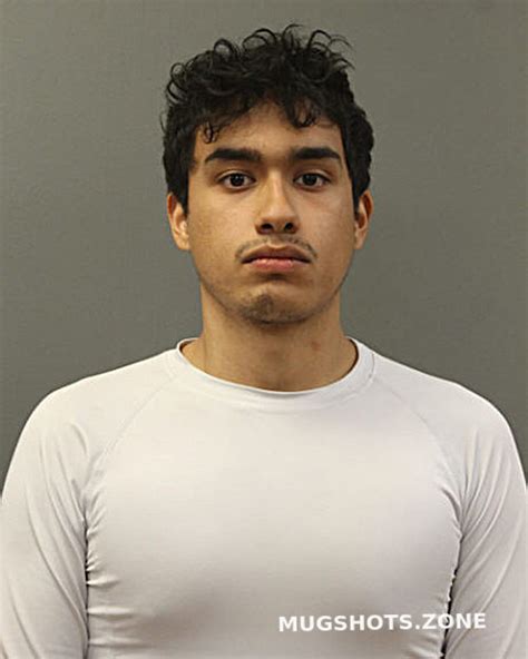 Moises Gonzalez Chicago Mugshots Zone