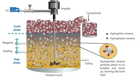 Diagram of a single flotation cell | Download Scientific Diagram