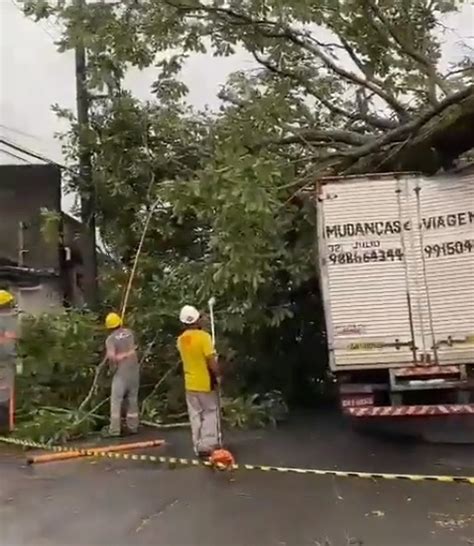 Árvore cai em cima de caminhão durante forte chuva em Juiz de Fora