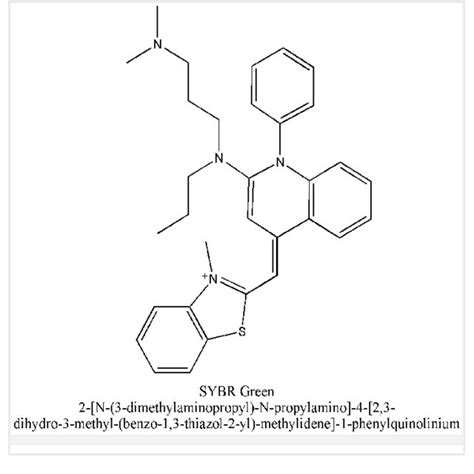 Structure of Ethidium Bromide | Download Scientific Diagram