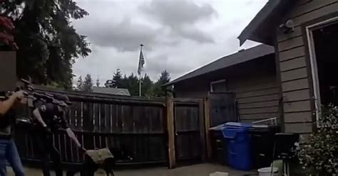 Naked Suspect Leads Armed Police On Wild Chase Before Trying To Hide In Bin Mirror Online