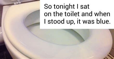 Why Some People Suddenly Turn Their Toilet Seat Blue Bright Side