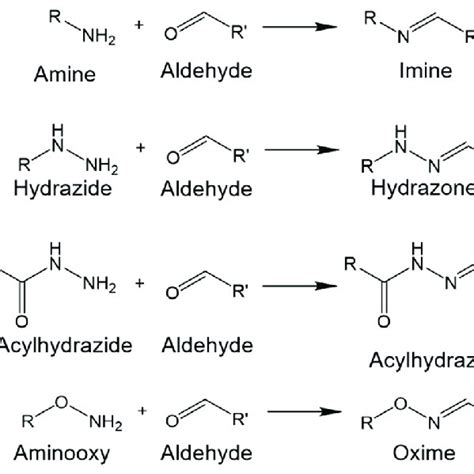 Formation Of Imine Hydrazone Acylhydrazone Or Oxime Through