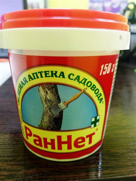 Чем и как замазать спил дерева после обрезки? – 5 лучших средств для ...