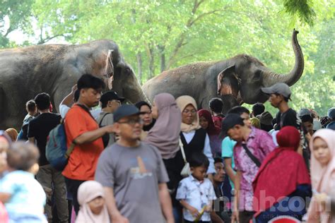 Foto Suasana Libur Lebaran Di Taman Margasatwa Ragunan