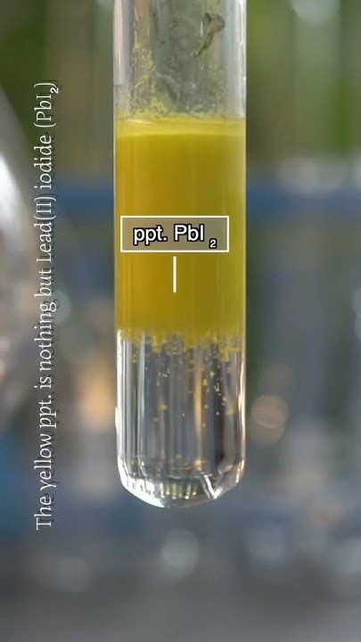 Lead Nitrate And Potassium Iodide Reaction Shorts Experiment Youtube