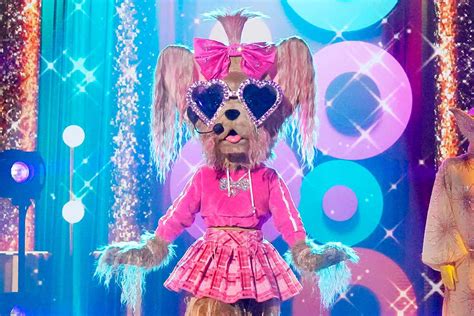 The Masked Singer reveals Yorkie as Real Housewives star Erika Jayne