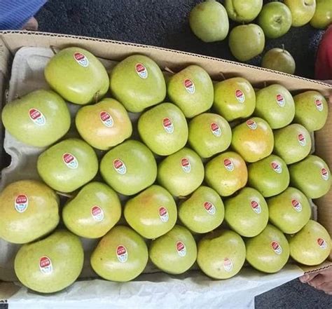 Himachali A Grade Green Apple Packaging Size Kg Packaging Type