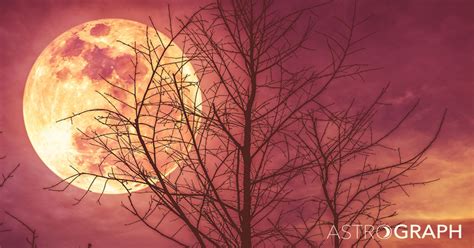 ASTROGRAPH A Full Moon Of Further Surprises And Relationship Insight