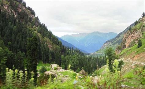 Kishtwar National Park & Wildlife Sanctuary | Jammu & Kashmir