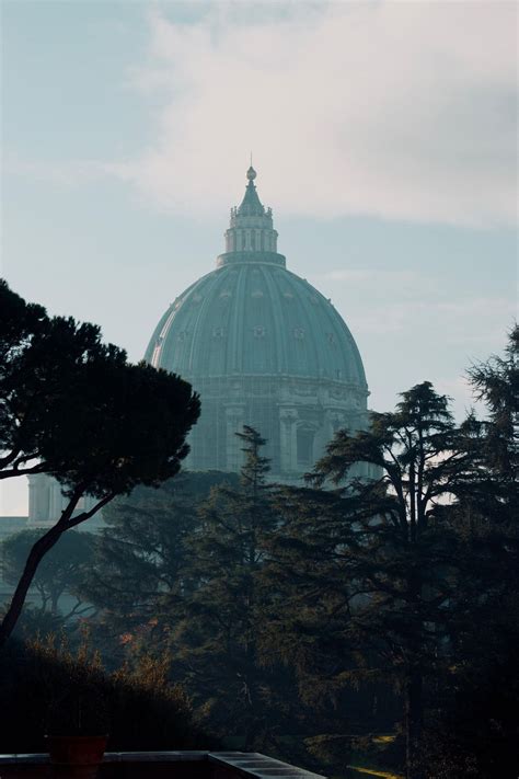 Vatican City: St. Peter's Basilica & Papal Tombs Guided Tour Vatican Museum
