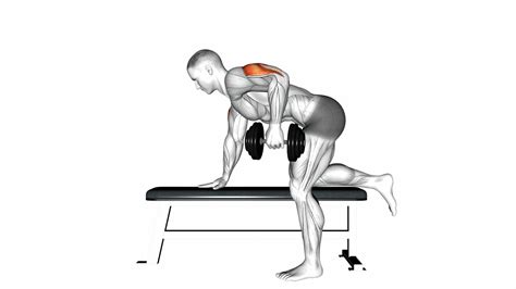 10 Exercises For All 3 Heads Of Tricep - Target Every Muscle - Workout Guru