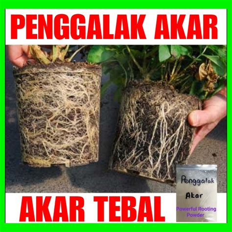 Farmers Serbuk Penggalak Akar Pengakar Rooting Powder Ready Stock