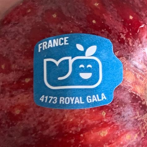 Blue Whale Gala Apples Reviews Abillion