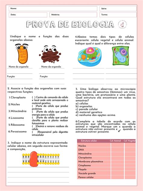 Biologia Prova - Template Prova Biologia-3 | PDF
