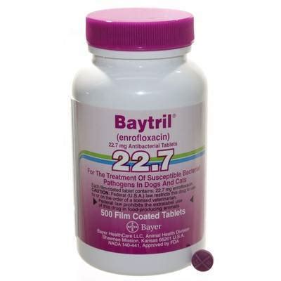 Baytril Film Coated Tablets for Dogs and Cats | VetRxDirect Pharmacy