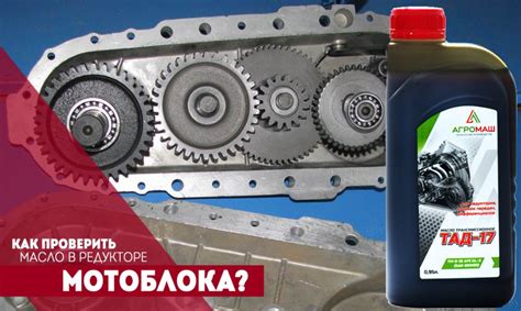 Масло в двигатель мотоблока нева, каскад, угра, субару, лифна: отзывы и ...